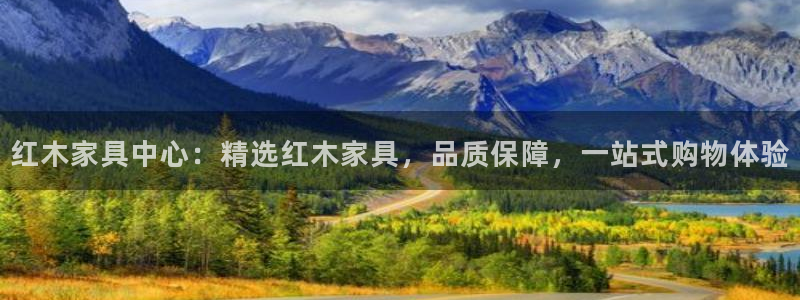 球盟会用的客服聊天是哪个软件