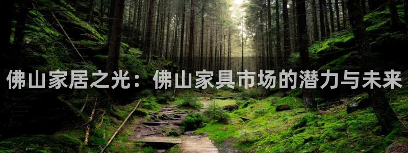 球盟会电子好黑