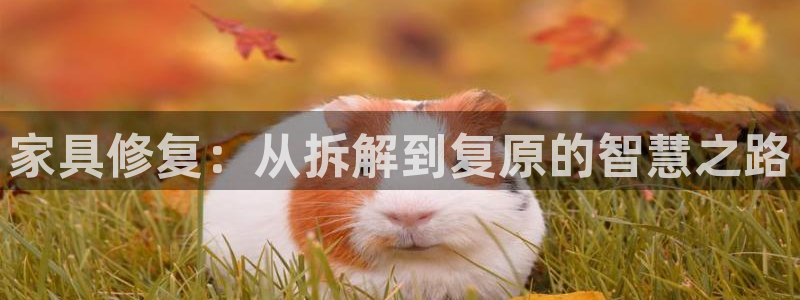 球盟会和中欧