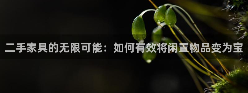球盟会qm8597
