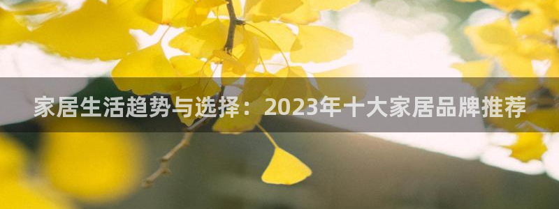 球盟会黑嘛