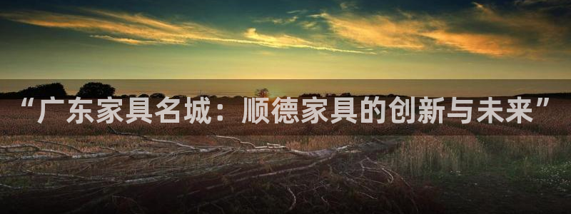球盟会app