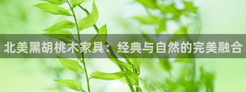 球盟会黑台子吗