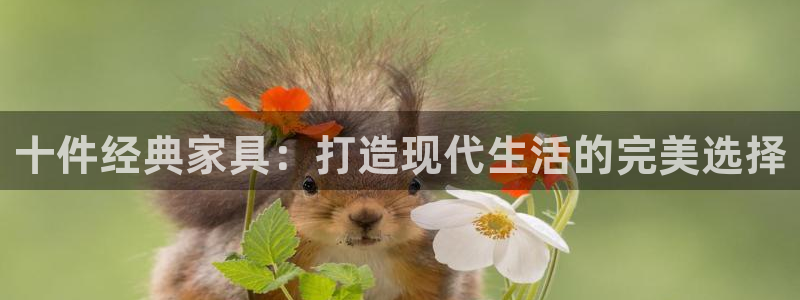 球盟会用的客服聊天是哪个软件