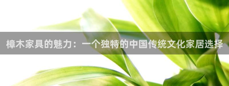 球盟会黑款吗
