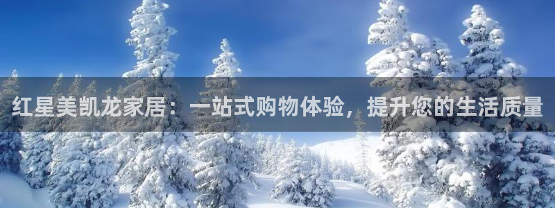 球盟会官方网站