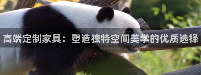 球盟会有没有黑单的人