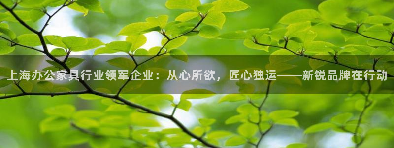 球盟会电子好下吗