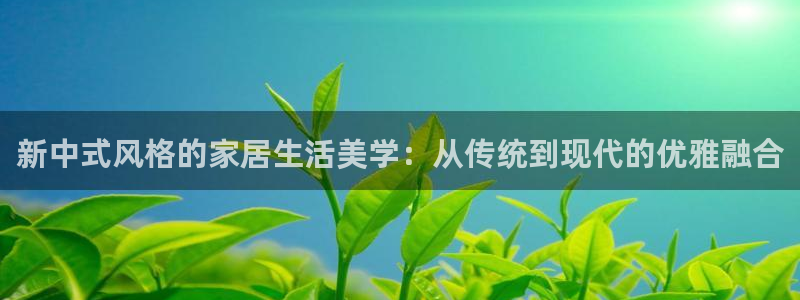 球盟会APP下载