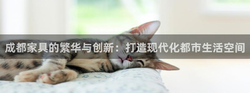 球盟会和中欧会的区别