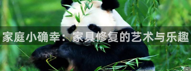 球盟会官网：家庭小确幸：家具修复的艺术与乐趣