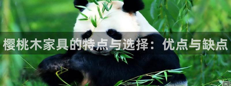 球盟会黑款吗知乎文章