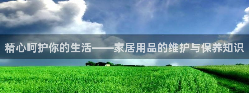 球盟会游戏