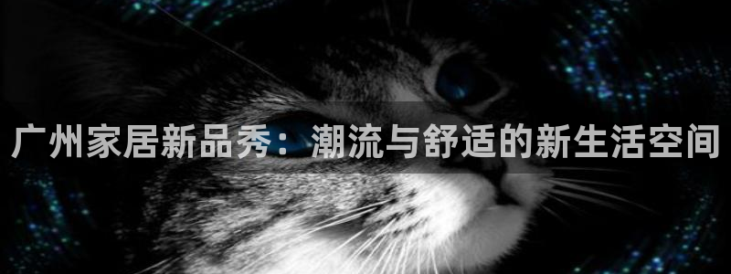 球盟会连接
