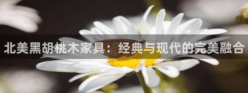 球盟会电子好下吗