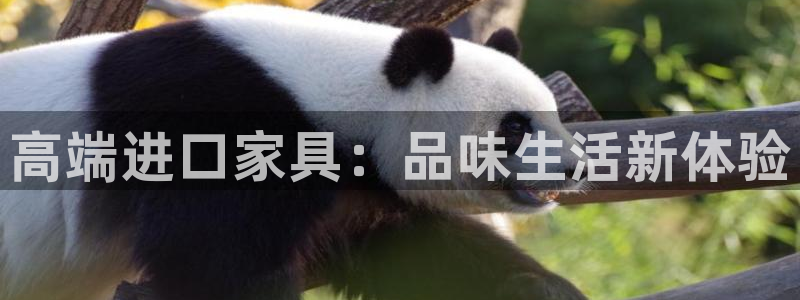 球盟会官方登录平台