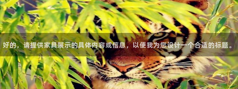 球盟会app最新地址在哪找