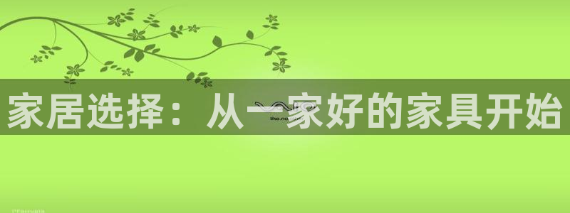 球盟会有限公司怎么样