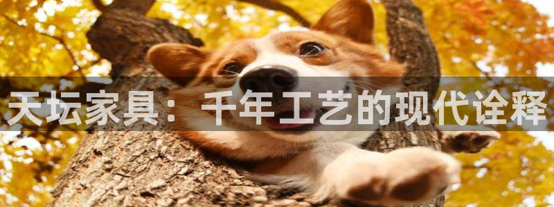 球盟会电子游戏平台