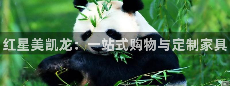 球盟会头号玩家