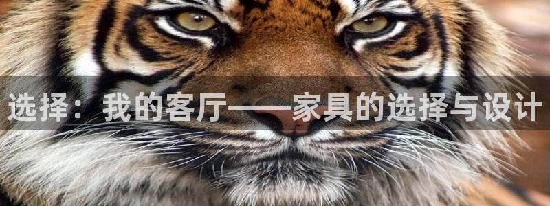 球盟会app网址多少