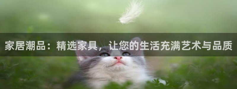 球盟会登陆