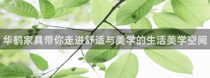 球盟会官网网页版