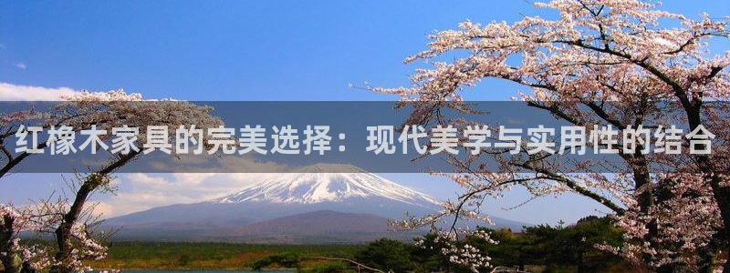 球盟会优惠券