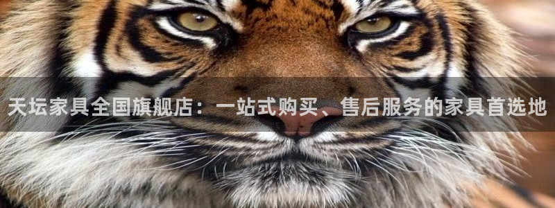 球盟会app安装