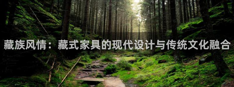 球盟会登陆