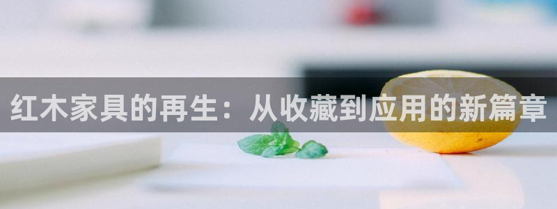 球盟会app入口
