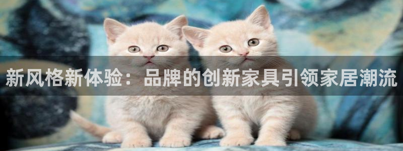 球盟会连接
