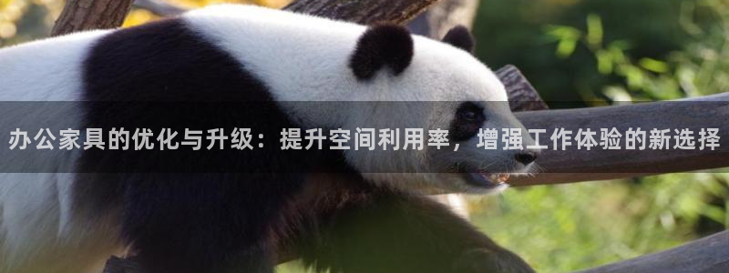 球盟会官网app下载