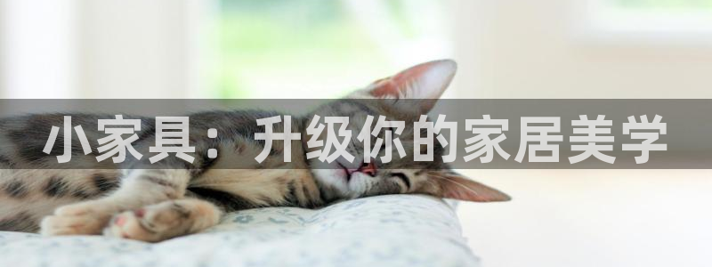 球盟会官方版下载地址