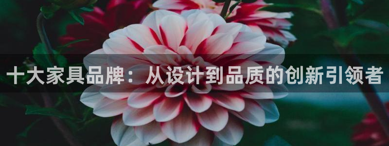 球盟会有没有黑单的人