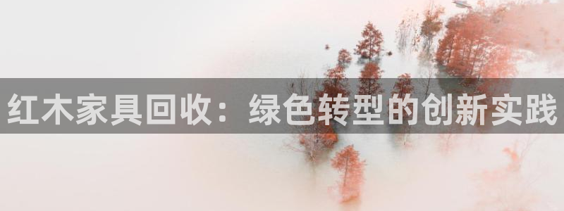 球盟会封号