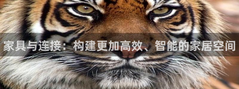 球盟会体育平台