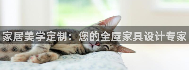 球盟会登陆