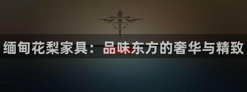球盟会app网址多少号