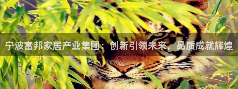 球盟会黑嘛
