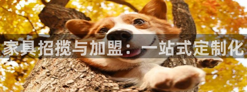 球盟会app最新地址在哪里