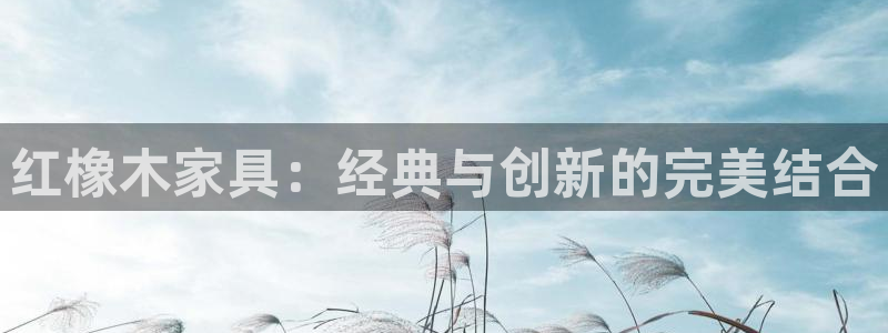 球盟会网址多少
