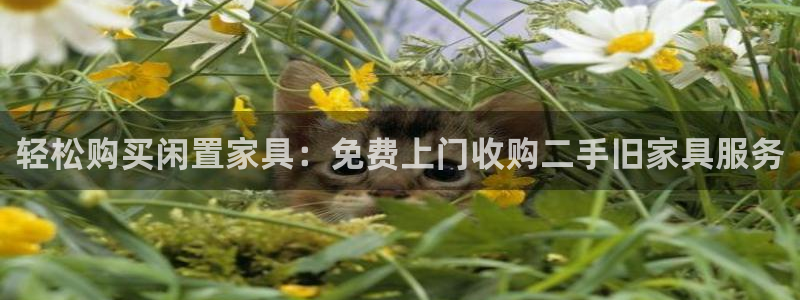 千亿球盟会