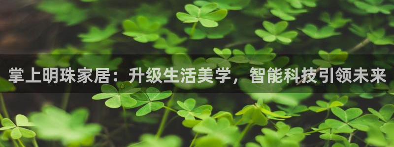 球盟会用的客服聊天是哪个软件