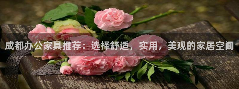 球盟会乐虎