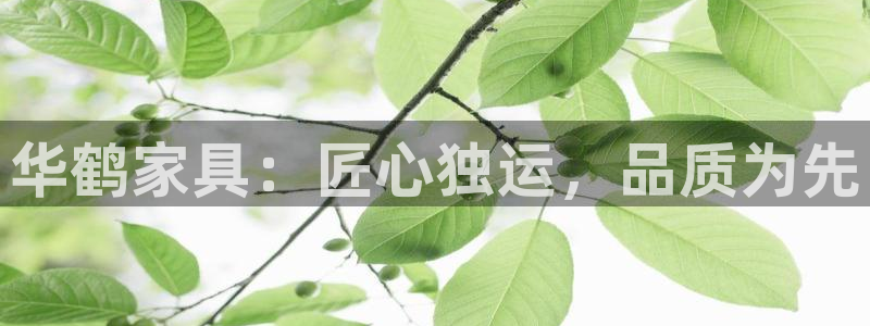球盟会登录平台入口