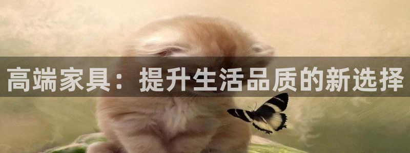 球盟会官方app首页入口