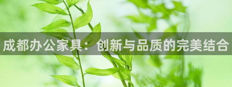 球盟会入口：成都办公家具：创新与品质的完美结合