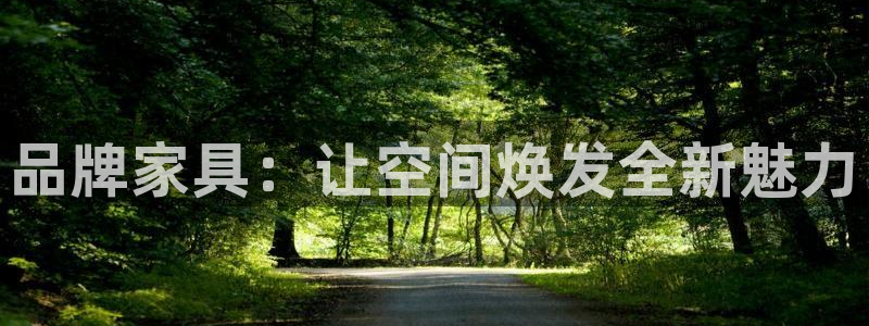 球盟会能提现吗