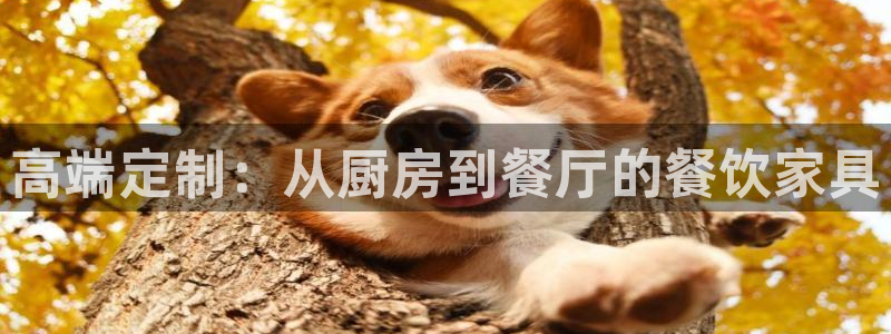 球盟会有没有黑单的